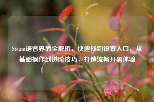 Steam语音界面全解析，快速找到设置入口，从基础操作到进阶技巧，打造流畅开黑体验