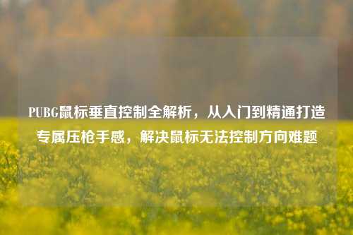 PUBG鼠标垂直控制全解析,从入门到精通打造专属压枪手感,解决鼠标无法控制方向难题
