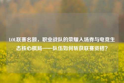 LOL联赛名额，职业战队的荣耀入场券与电竞生态核心棋局——队伍如何斩获联赛资格？