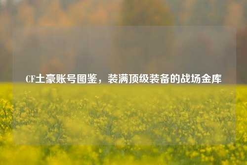 CF土豪账号图鉴，装满顶级装备的战场金库