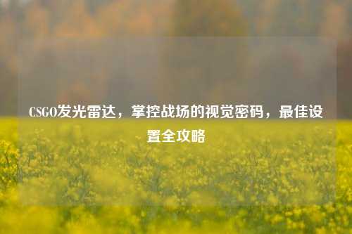 CSGO发光雷达，掌控战场的视觉密码，最佳设置全攻略