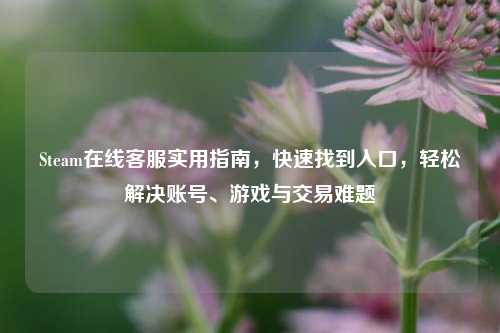 Steam在线客服实用指南，快速找到入口，轻松解决账号、游戏与交易难题