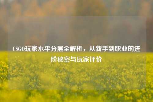 CSGO玩家水平分层全解析，从新手到职业的进阶秘密与玩家评价