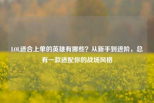 LOL适合上单的英雄有哪些?从新手到进阶,总有一款适配你的战场风格