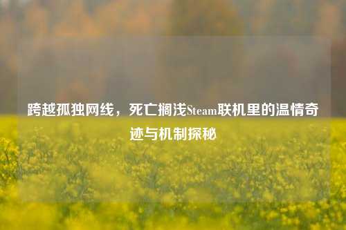 跨越孤独网线，死亡搁浅Steam联机里的温情奇迹与机制探秘