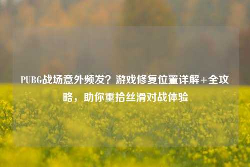 PUBG战场意外频发？游戏修复位置详解+全攻略，助你重拾丝滑对战体验