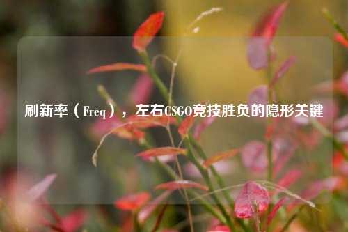 刷新率(Freq),左右CSGO竞技胜负的隐形关键