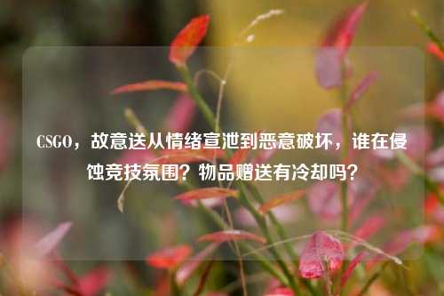 CSGO，故意送从情绪宣泄到恶意破坏，谁在侵蚀竞技氛围？物品赠送有冷却吗？