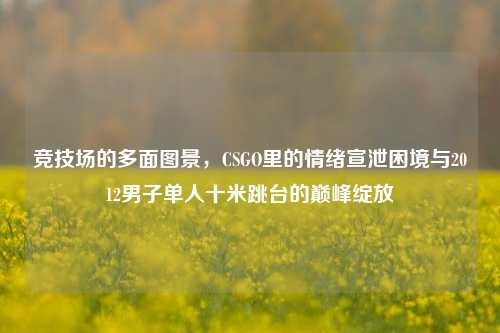 竞技场的多面图景，CSGO里的情绪宣泄困境与2012男子单人十米跳台的巅峰绽放