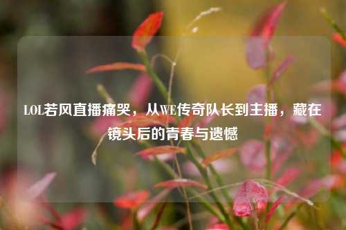 LOL若风直播痛哭，从WE传奇队长到主播，藏在镜头后的青春与遗憾