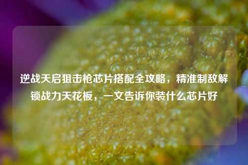 逆战天启狙击枪芯片搭配全攻略，精准制敌解锁战力天花板，一文告诉你装什么芯片好