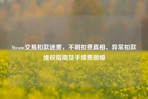 Steam交易扣款迷雾，不明扣费真相、异常扣款维权指南及手续费明细
