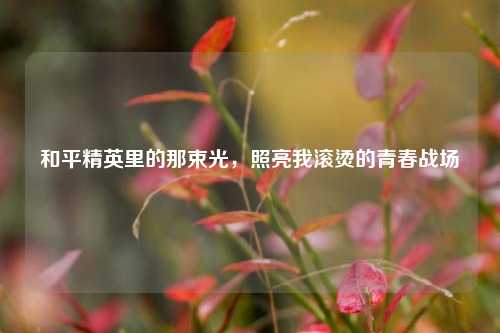 和平精英里的那束光，照亮我滚烫的青春战场