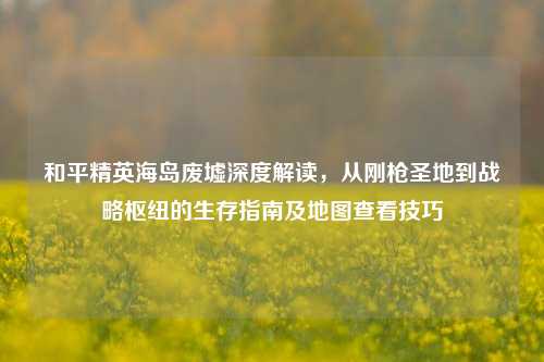 和平精英海岛废墟深度解读,从刚枪圣地到战略枢纽的生存指南及地图查看技巧