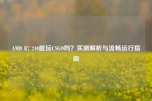 AMD R7 240能玩CSGO吗?实测解析与流畅运行指南