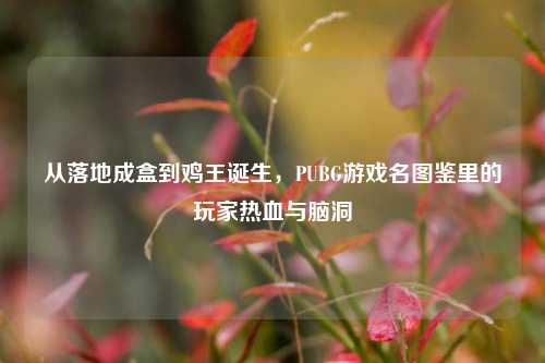 从落地成盒到鸡王诞生，PUBG游戏名图鉴里的玩家热血与脑洞