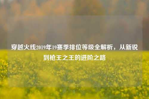 穿越火线2019年19赛季排位等级全解析，从新锐到枪王之王的进阶之路