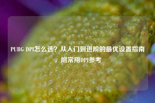 PUBG DPI怎么选？从入门到进阶的最优设置指南，附常用DPI参考