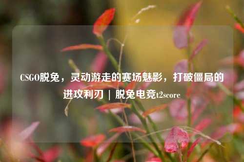 CSGO脱兔，灵动游走的赛场魅影，打破僵局的进攻利刃 | 脱兔电竞t2score