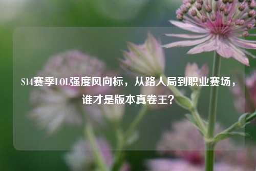 S14赛季LOL强度风向标，从路人局到职业赛场，谁才是版本真卷王？