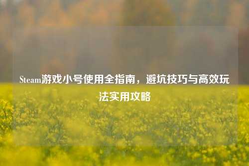 Steam游戏小号使用全指南，避坑技巧与高效玩法实用攻略