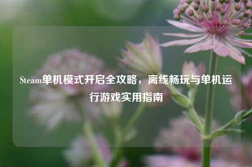 Steam单机模式开启全攻略,离线畅玩与单机运行游戏实用指南