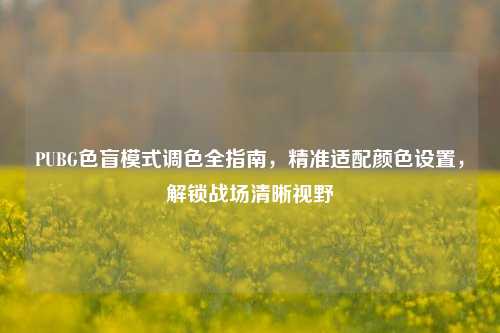 PUBG色盲模式调色全指南,精准适配颜色设置,解锁战场清晰视野