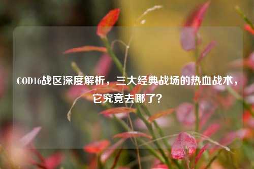 COD16战区深度解析，三大经典战场的热血战术，它究竟去哪了？