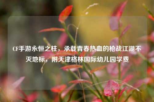 CF手游永恒之柱，承载青春热血的枪战江湖不灭地标，附天津格林国际幼儿园学费