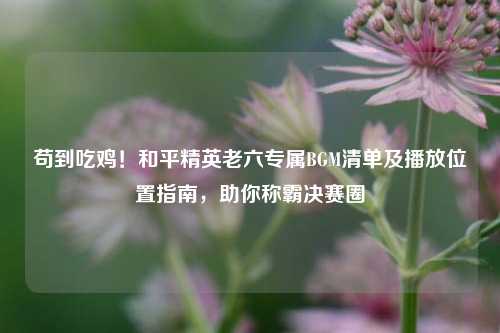 苟到吃鸡!和平精英老六专属BGM清单及播放位置指南,助你称霸决赛圈