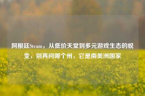 阿根廷Steam，从低价天堂到多元游戏生态的蜕变，别再问哪个州，它是南美洲国家