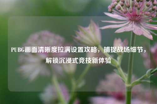 PUBG画面清晰度拉满设置攻略,捕捉战场细节,解锁沉浸式竞技新体验