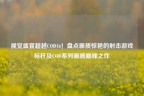 视觉盛宴超越COD16！盘点画质惊艳的射击游戏标杆及COD系列画质巅峰之作