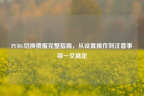 PUBG切换俄服完整指南,从设置操作到注意事项一文搞定