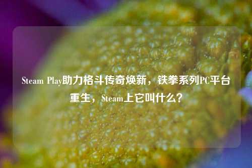 Steam Play助力格斗传奇焕新，铁拳系列PC平台重生，Steam上它叫什么？