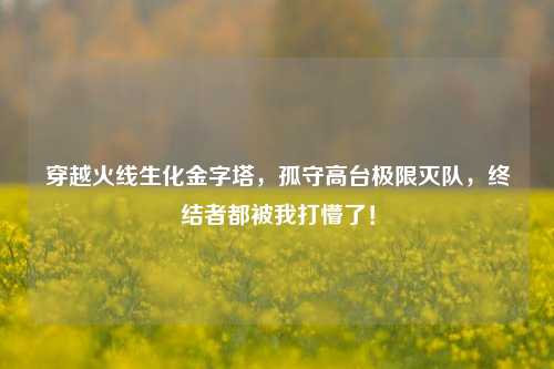 穿越火线生化金字塔，孤守高台极限灭队，终结者都被我打懵了！