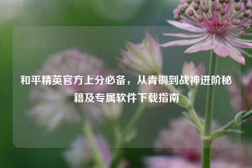和平精英官方上分必备,从青铜到战神进阶秘籍及专属软件下载指南