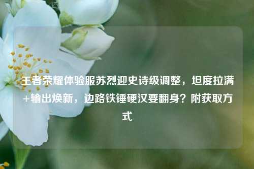王者荣耀体验服苏烈迎史诗级调整，坦度拉满+输出焕新，边路铁锤硬汉要翻身？附获取方式