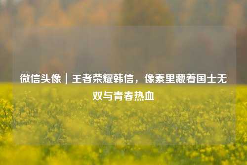 微信头像|王者荣耀韩信,像素里藏着国士无双与青春热血