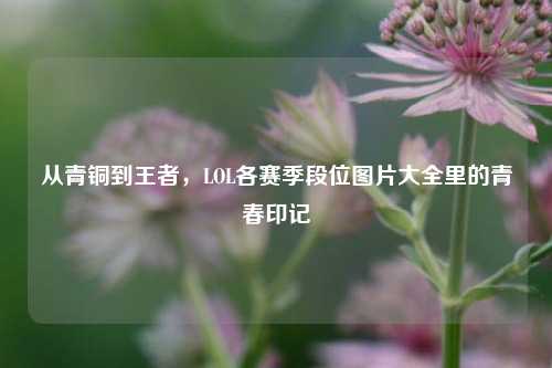 从青铜到王者，LOL各赛季段位图片大全里的青春印记