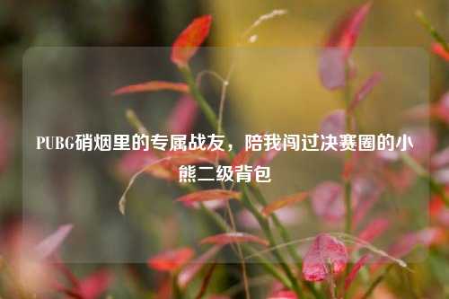 PUBG硝烟里的专属战友，陪我闯过决赛圈的小熊二级背包