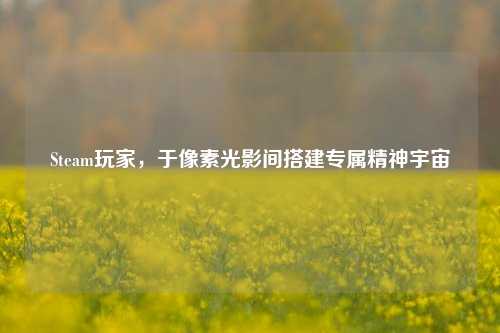 Steam玩家，于像素光影间搭建专属精神宇宙