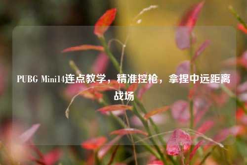 PUBG Mini14连点教学，精准控枪，拿捏中远距离战场