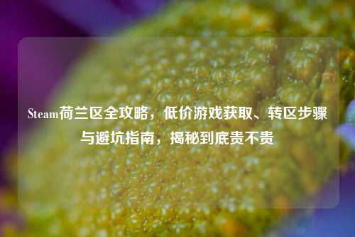 Steam荷兰区全攻略，低价游戏获取、转区步骤与避坑指南，揭秘到底贵不贵