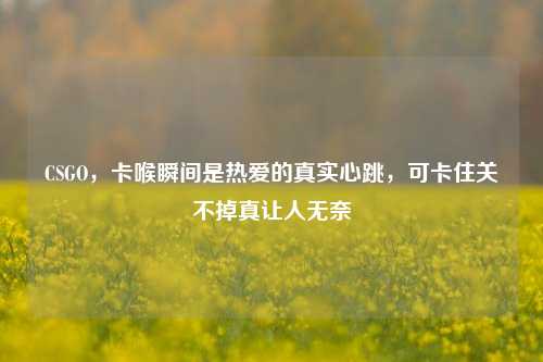 CSGO，卡喉瞬间是热爱的真实心跳，可卡住关不掉真让人无奈
