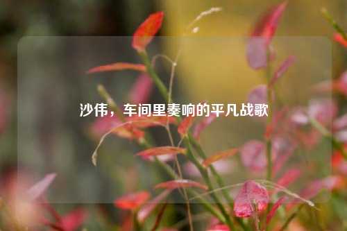 沙伟，车间里奏响的平凡战歌