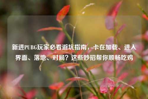 新进PUBG玩家必看避坑指南,卡在加载、进入界面、落地、对局?这些妙招帮你顺畅吃鸡