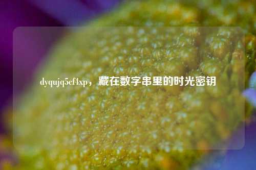 dyqujq5cf4xp，藏在数字串里的时光密钥