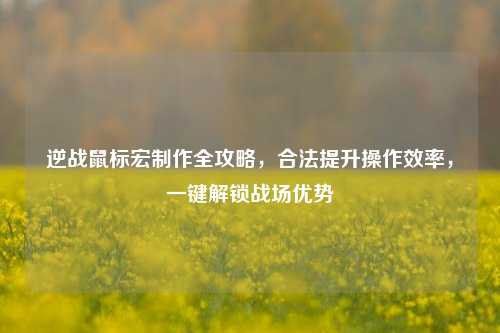 逆战鼠标宏制作全攻略，合法提升操作效率，一键解锁战场优势