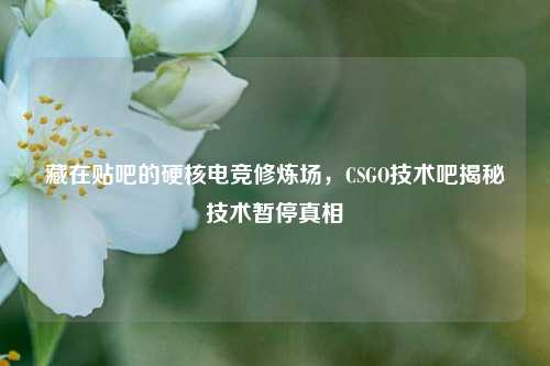 藏在贴吧的硬核电竞修炼场，CSGO技术吧揭秘技术暂停真相
